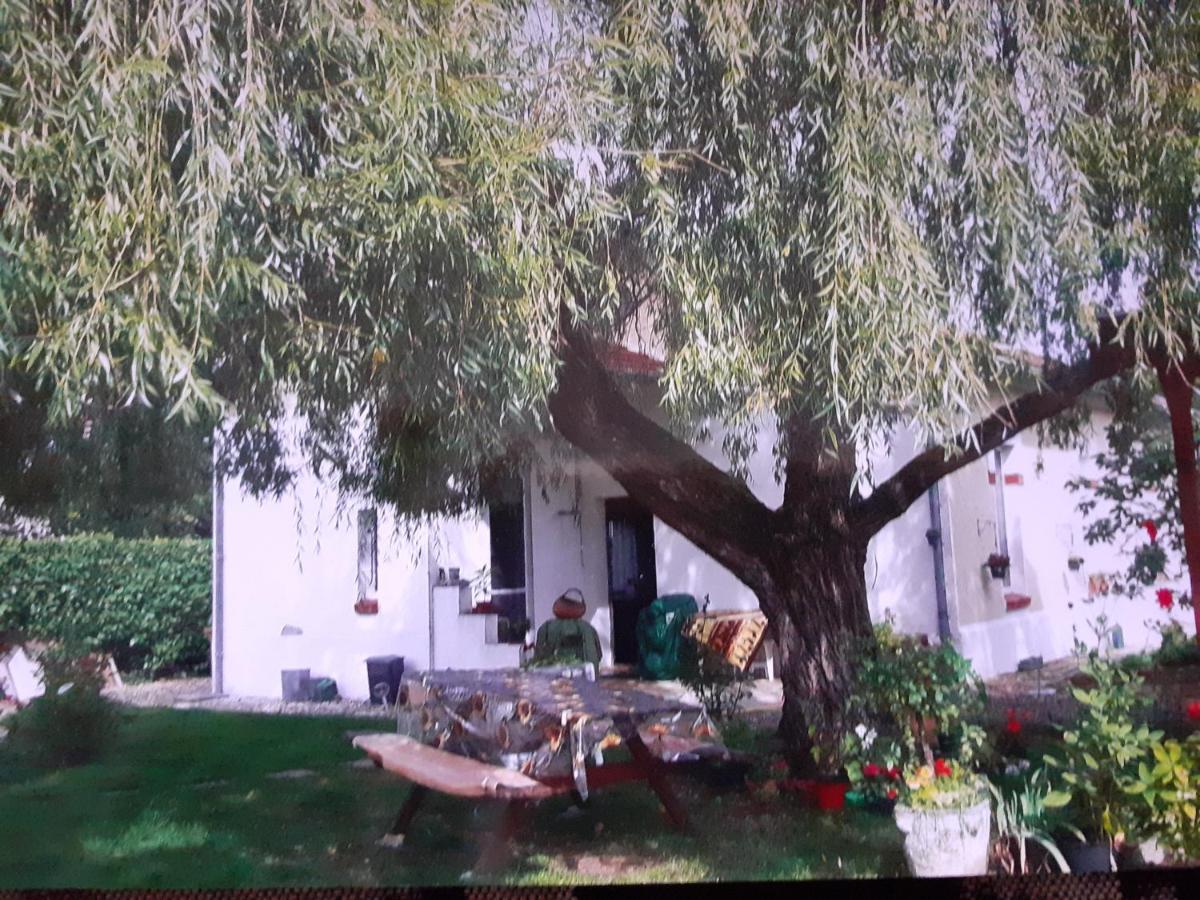 Peti Kaz Hotel Saint-Seurin-sur-l'Isle Bagian luar foto